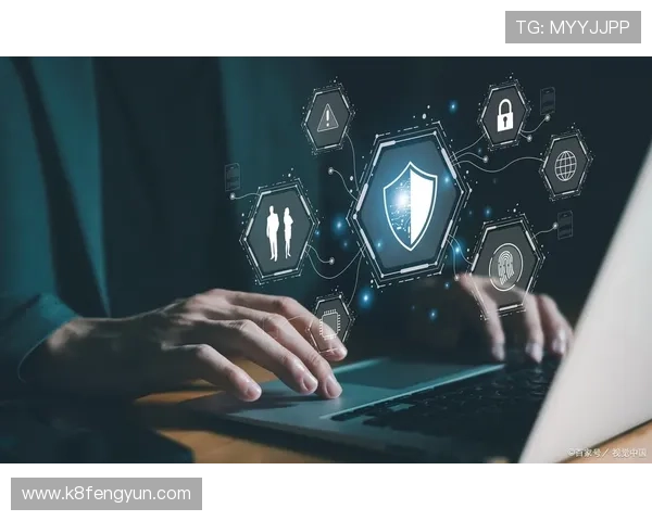 凯发娱乐国际官网入口：官方入口的安全措施与用户隐私保护策略分析